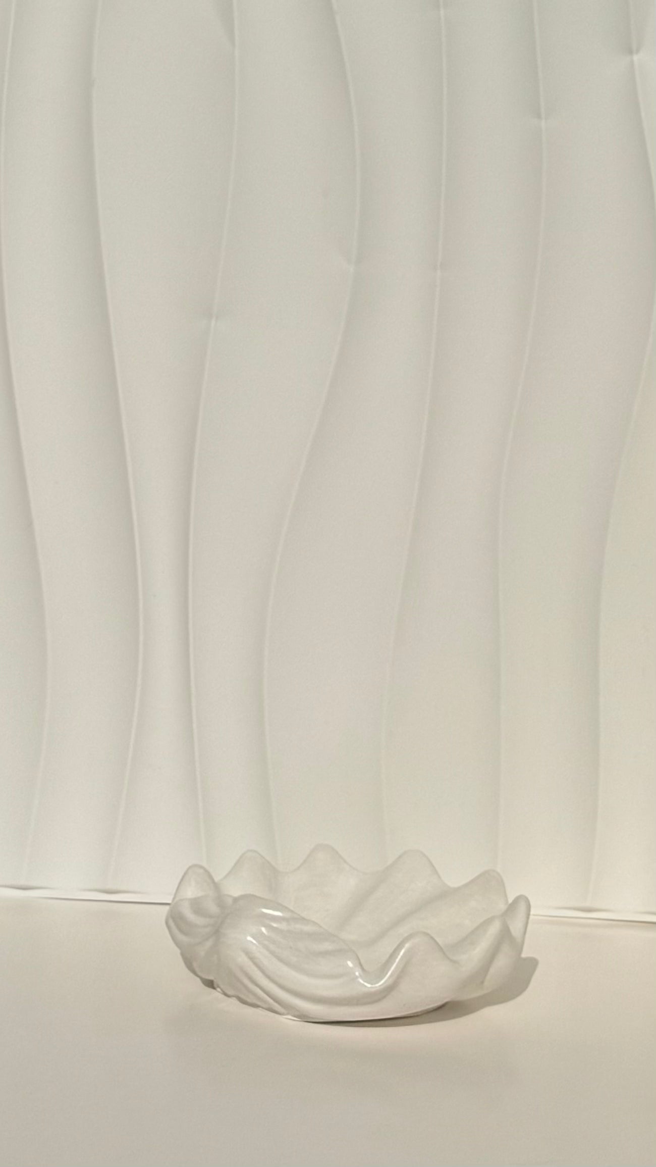 Shell Tray
