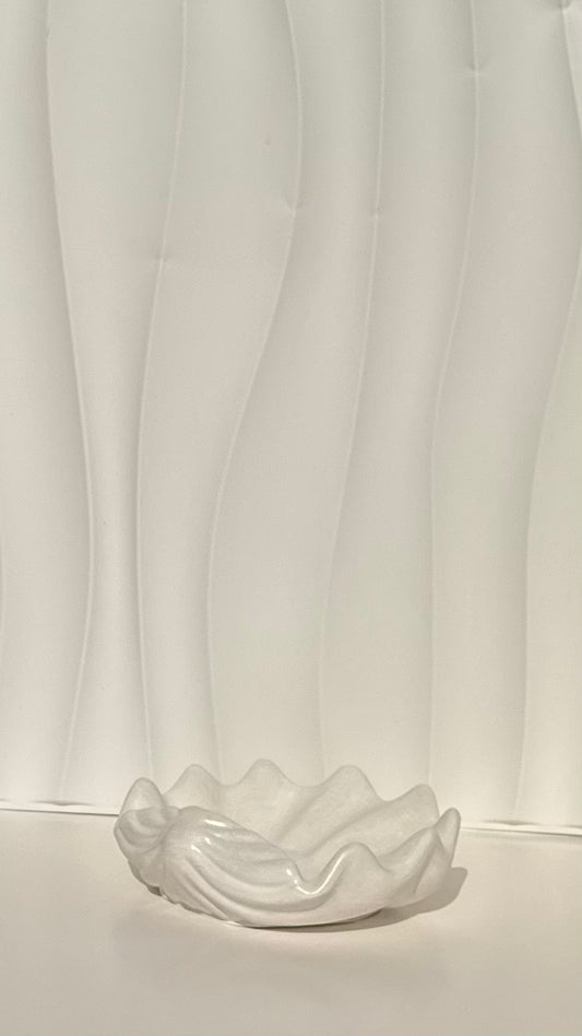 Shell Tray